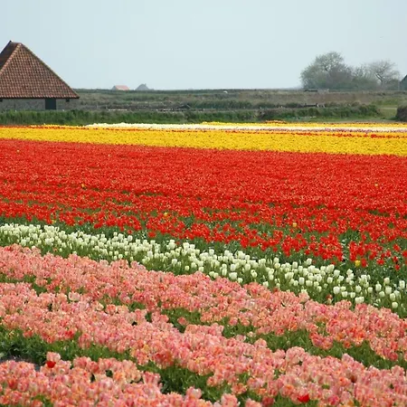 Tesselhof Hotel De Koog (Texel)