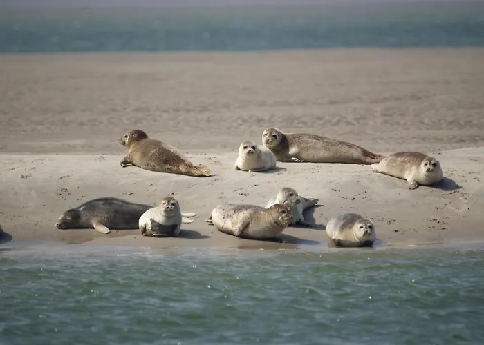 Tesselhof Szálloda 4*