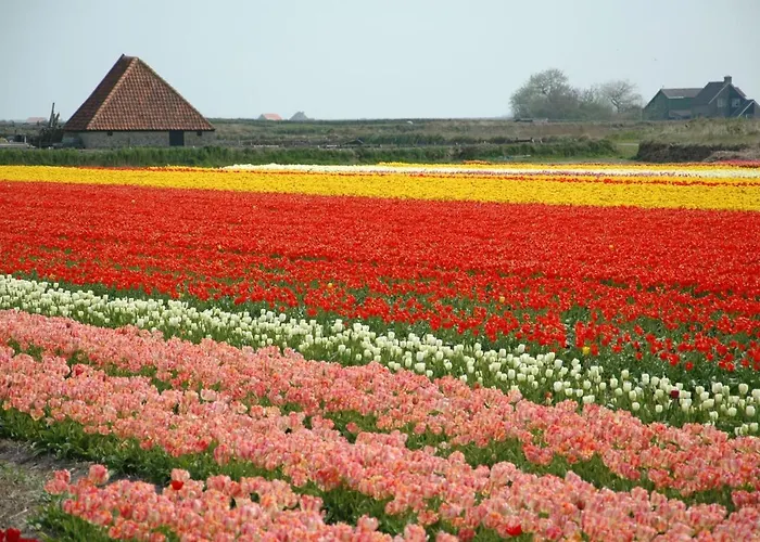 Tesselhof Szálloda De Koog